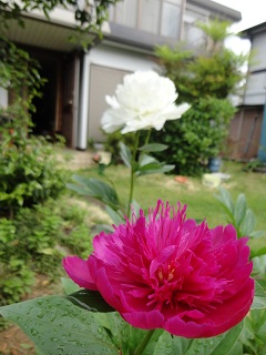 DSC03471.JPG