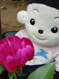 DSC03479.JPG