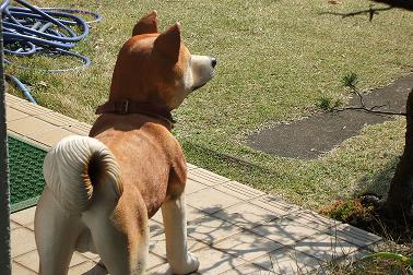 DSCF05191.JPG