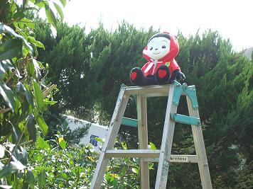 DSCF06171.JPG