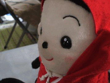 anigif.gif